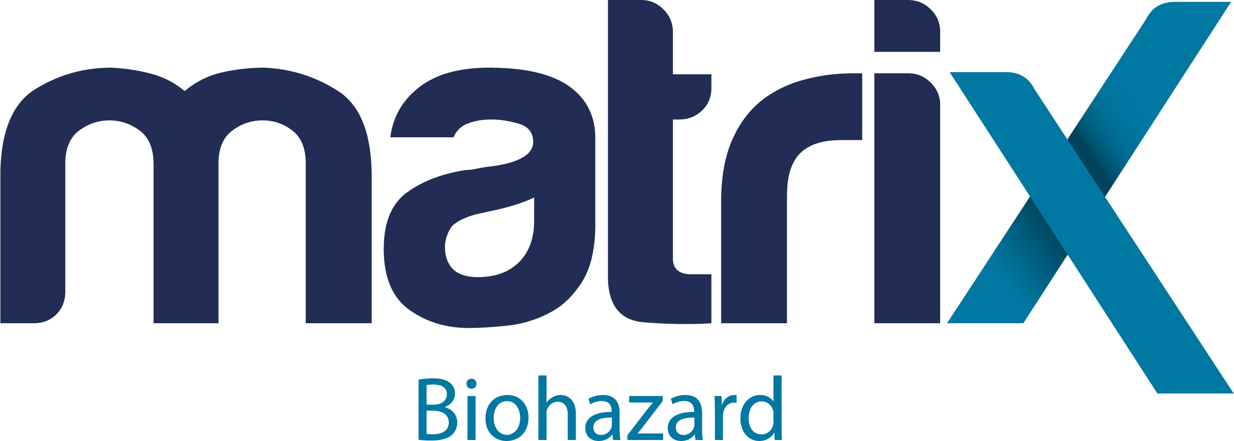 Matrix Group — Bap Logo